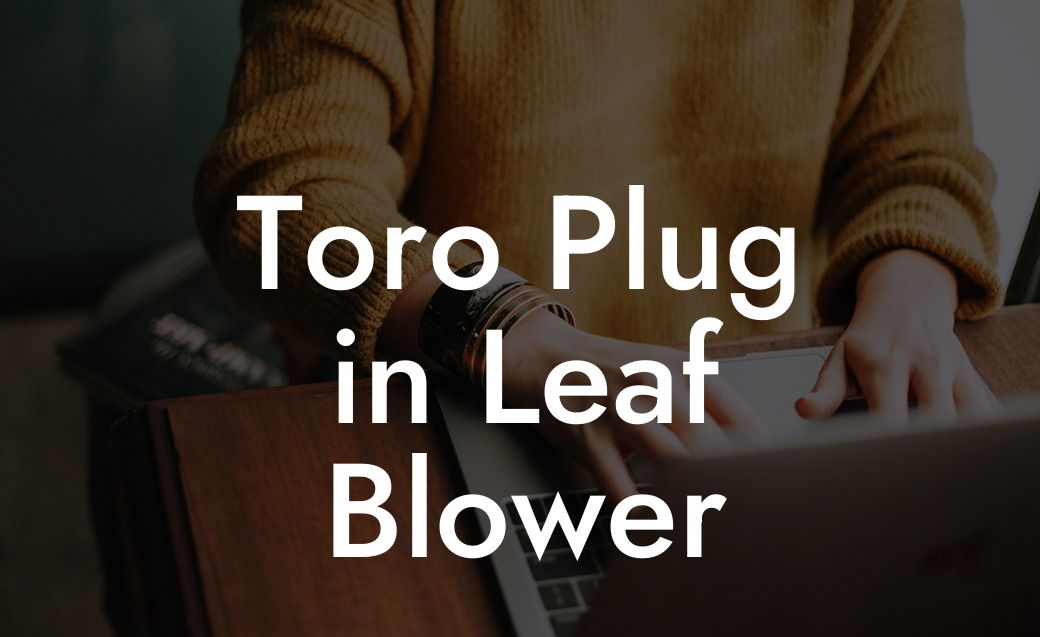 Toro Plug in Leaf Blower