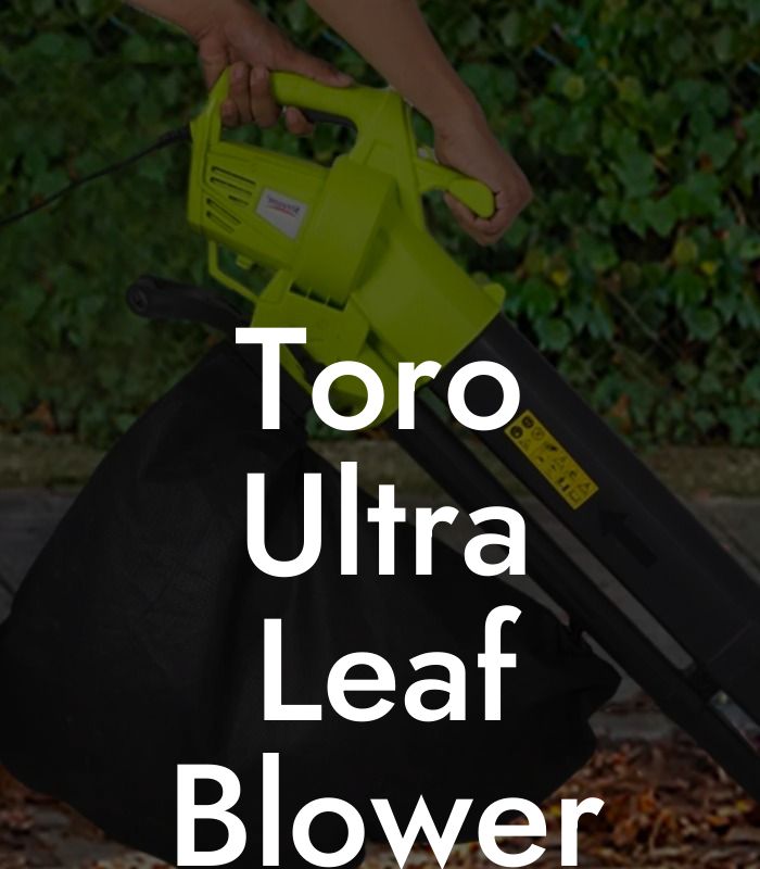 Toro Ultra Leaf Blower