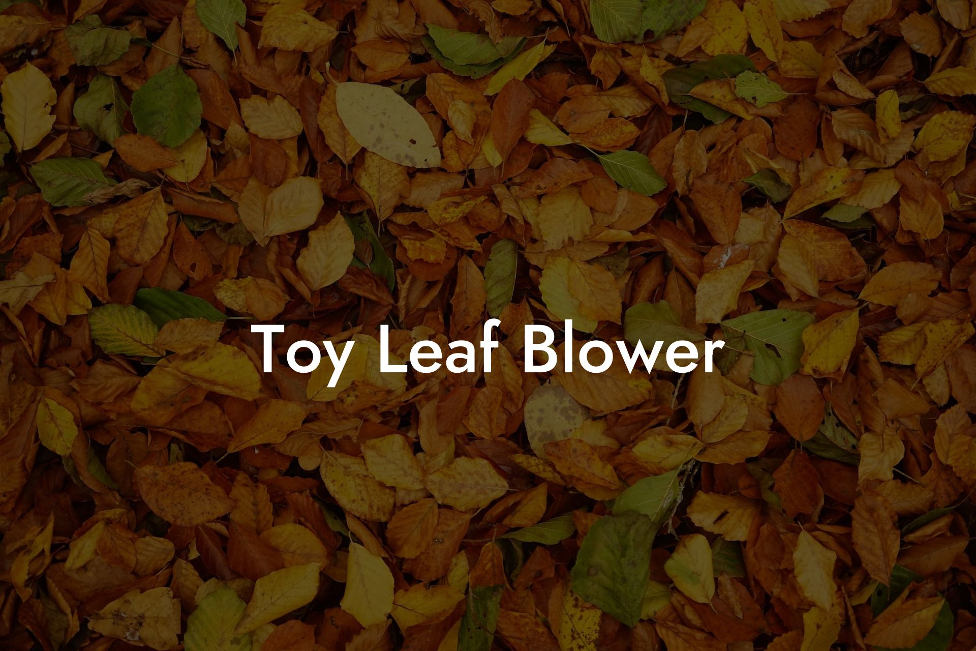 Toy Leaf Blower