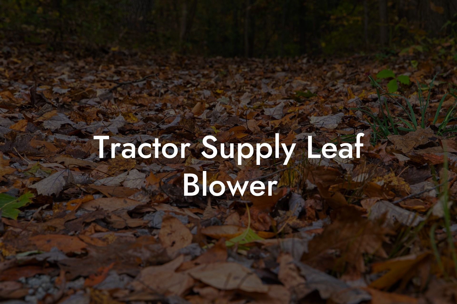 Tractor Supply Leaf Blower