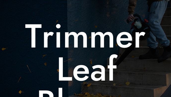 Trimmer Leaf Blower Combo