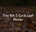 Troy Bilt 2 Cycle Leaf Blower