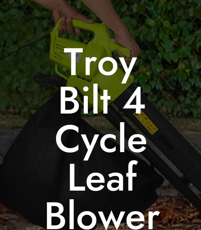 Troy Bilt 4 Cycle Leaf Blower