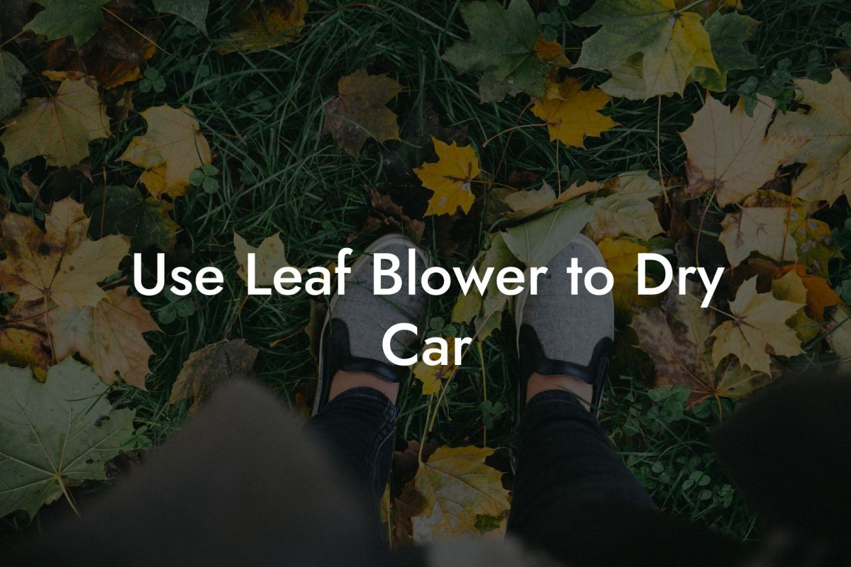 Use Leaf Blower to Dry Car