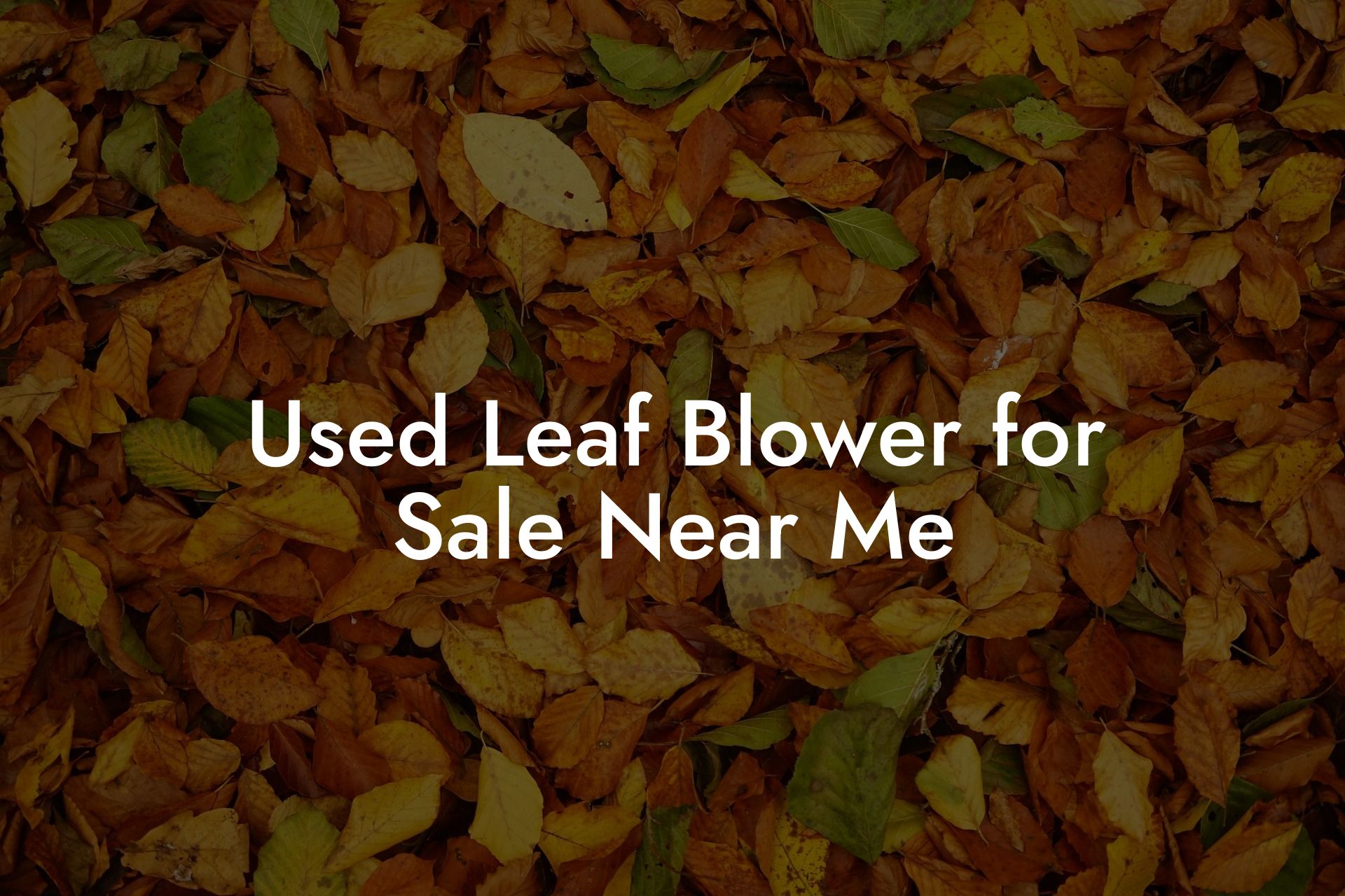 Used Leaf Blower for Sale Near Me