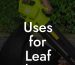 Uses for Leaf Blower