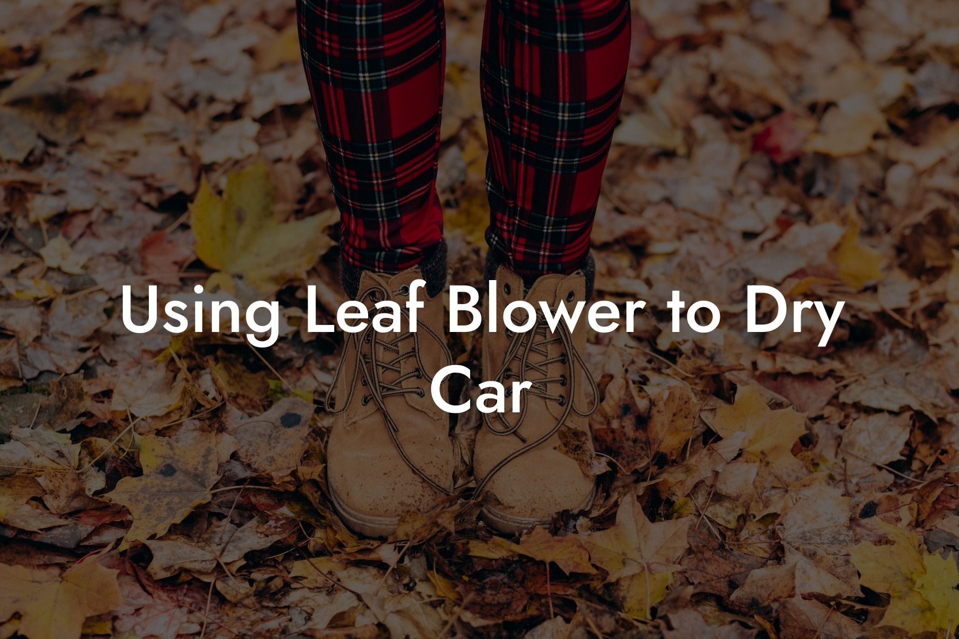 Using Leaf Blower to Dry Car