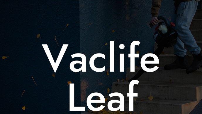 Vaclife Leaf Blower