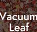 Vacuum Leaf Blower