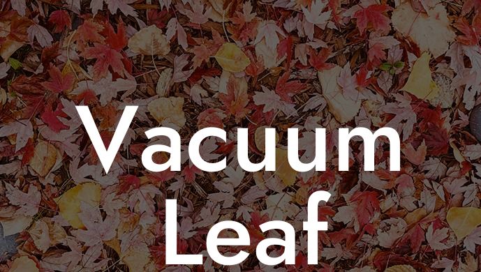 Vacuum Leaf Blower