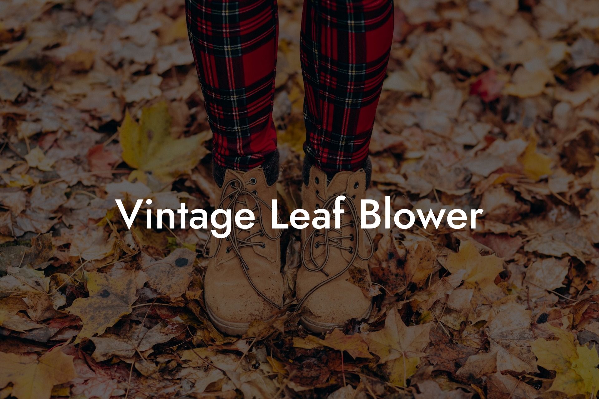 Vintage Leaf Blower