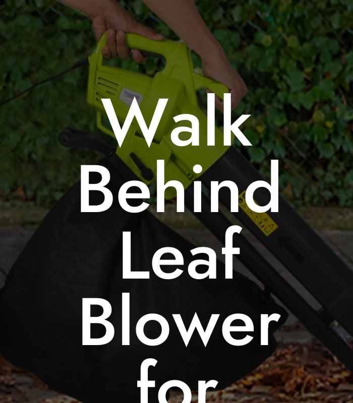 Walk Behind Leaf Blower for Sale