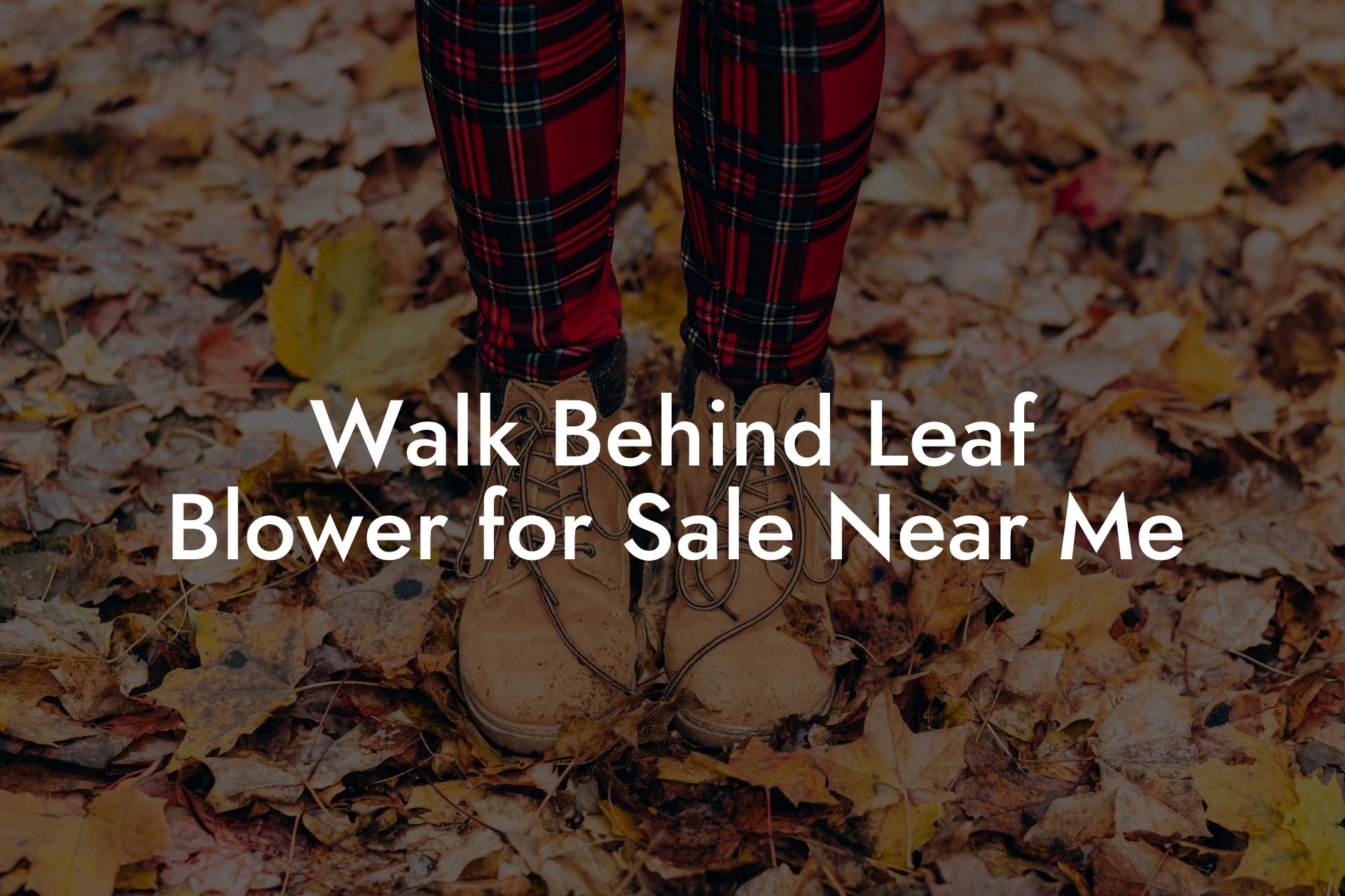 Walk Behind Leaf Blower for Sale Near Me