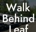 Walk Behind Leaf Blower Rental