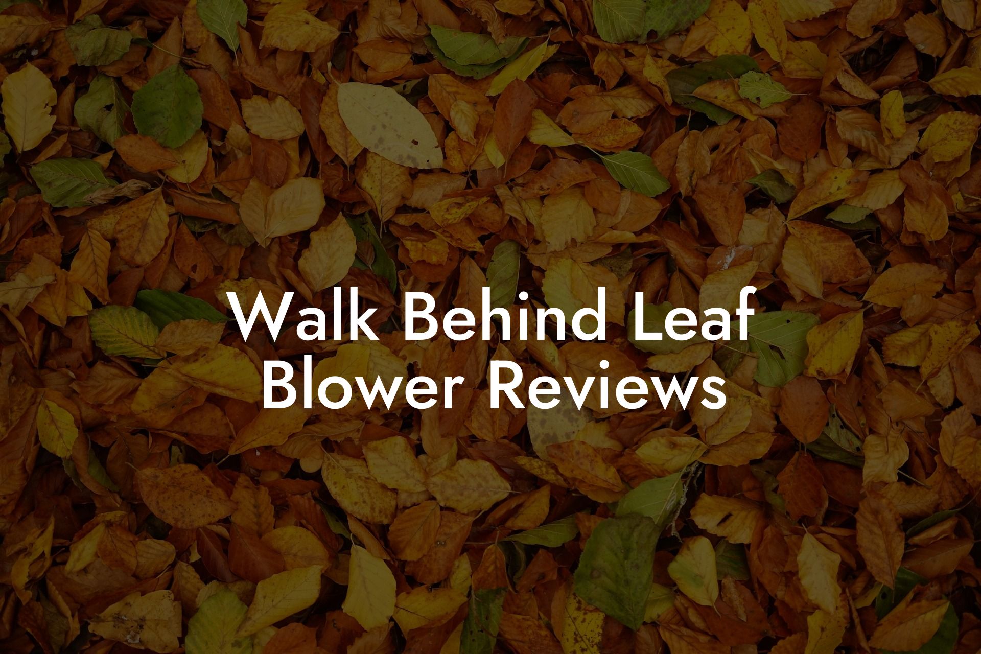 Walk Behind Leaf Blower Reviews