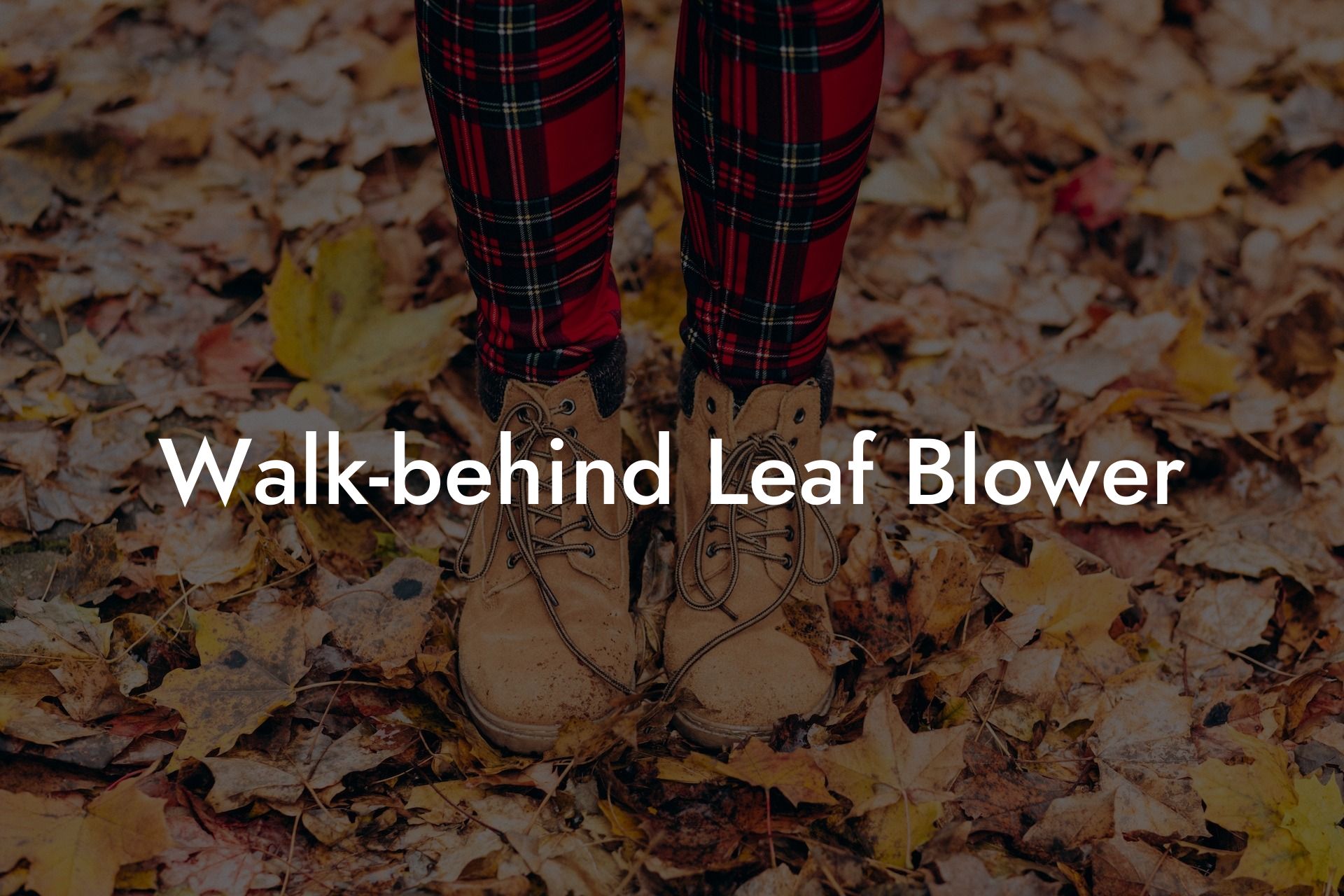 Walk-behind Leaf Blower