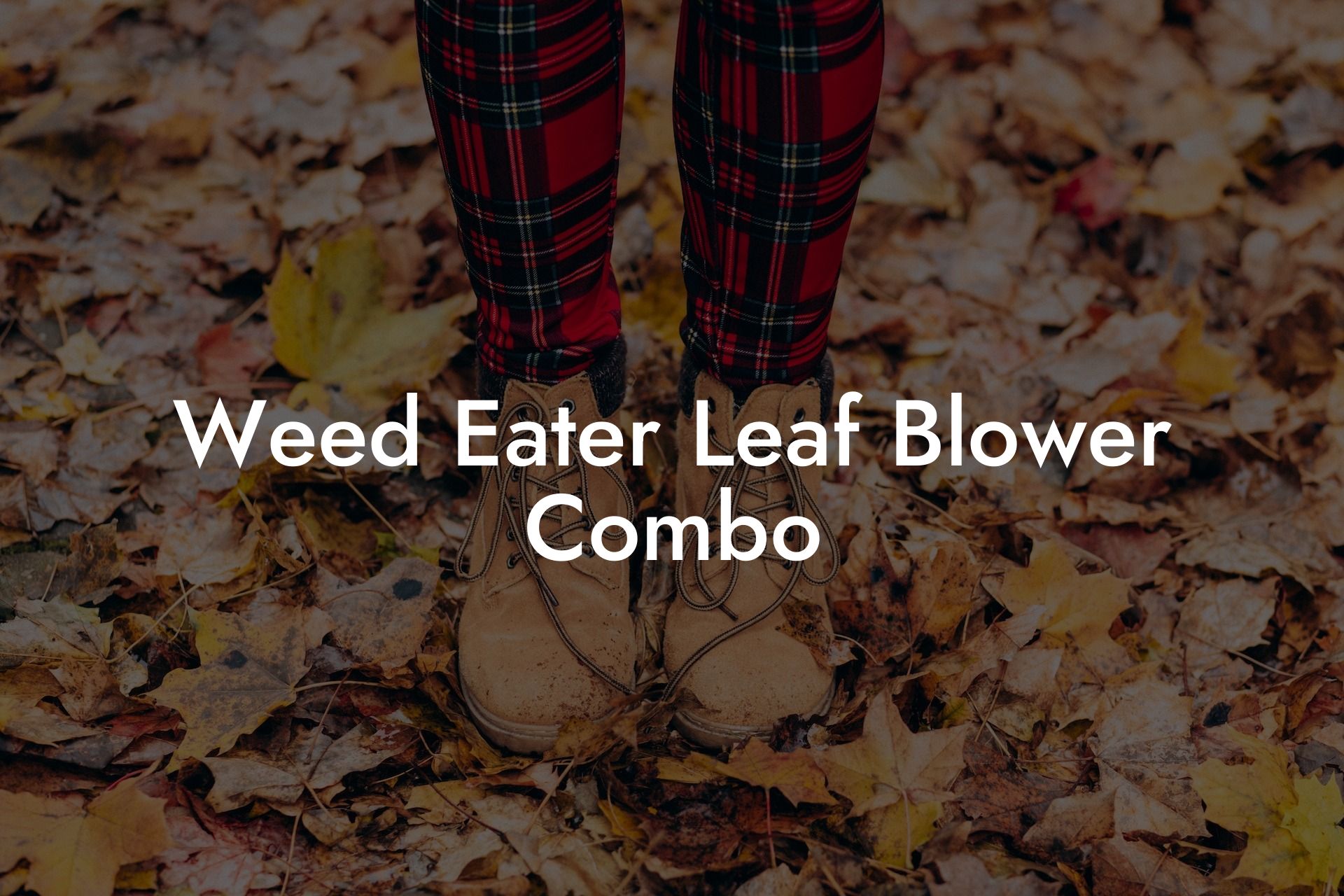 Weed Eater Leaf Blower Combo