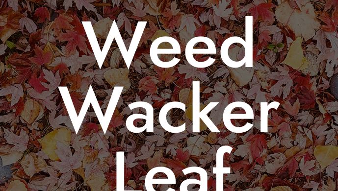 Weed Wacker Leaf Blower Combo