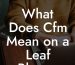 What Does Cfm Mean on a Leaf Blower