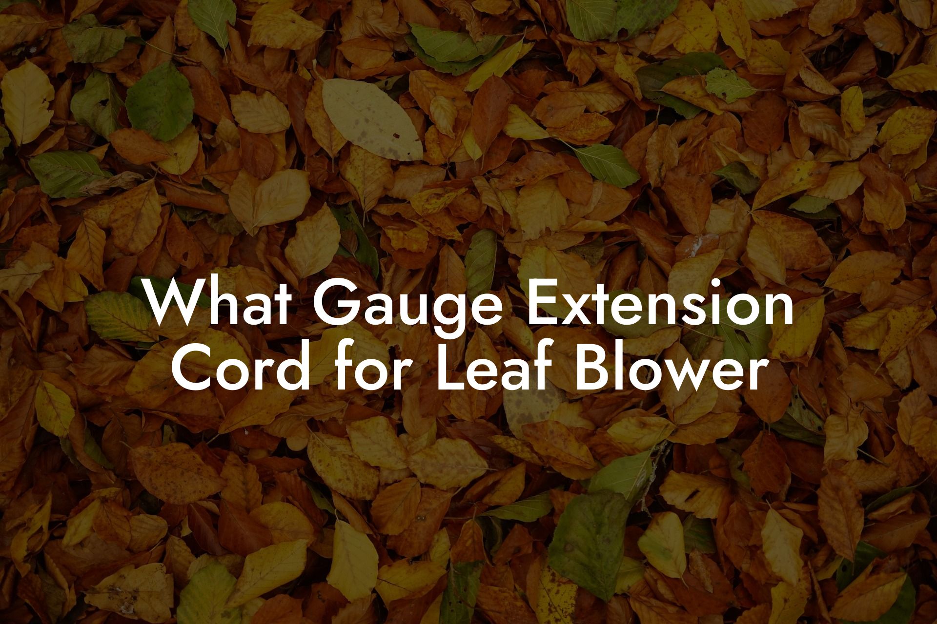 What Gauge Extension Cord for Leaf Blower