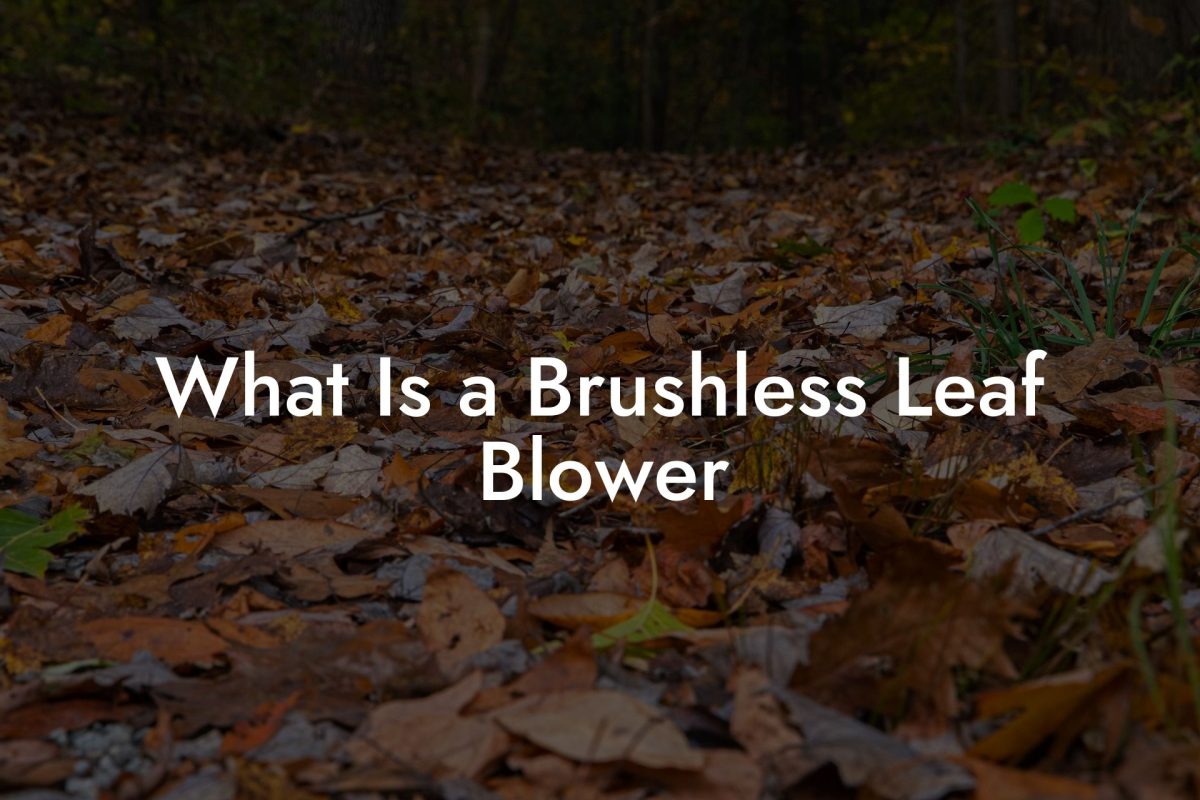 What Is a Brushless Leaf Blower