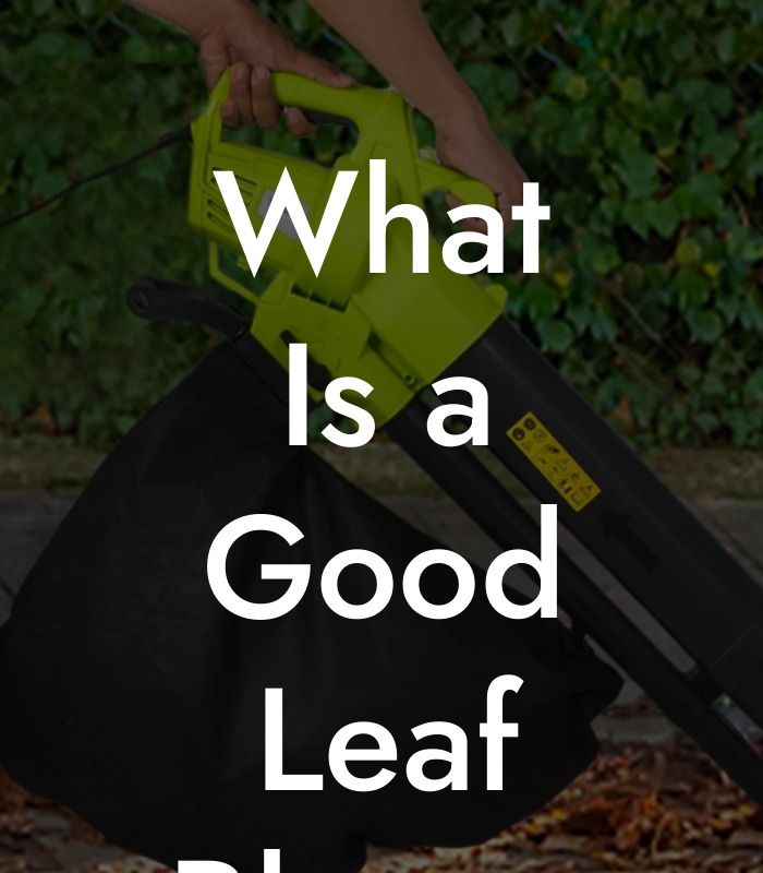 What Is a Good Leaf Blower Speed