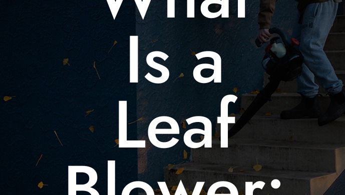 What Is a Leaf Blower: Understanding the Essentials