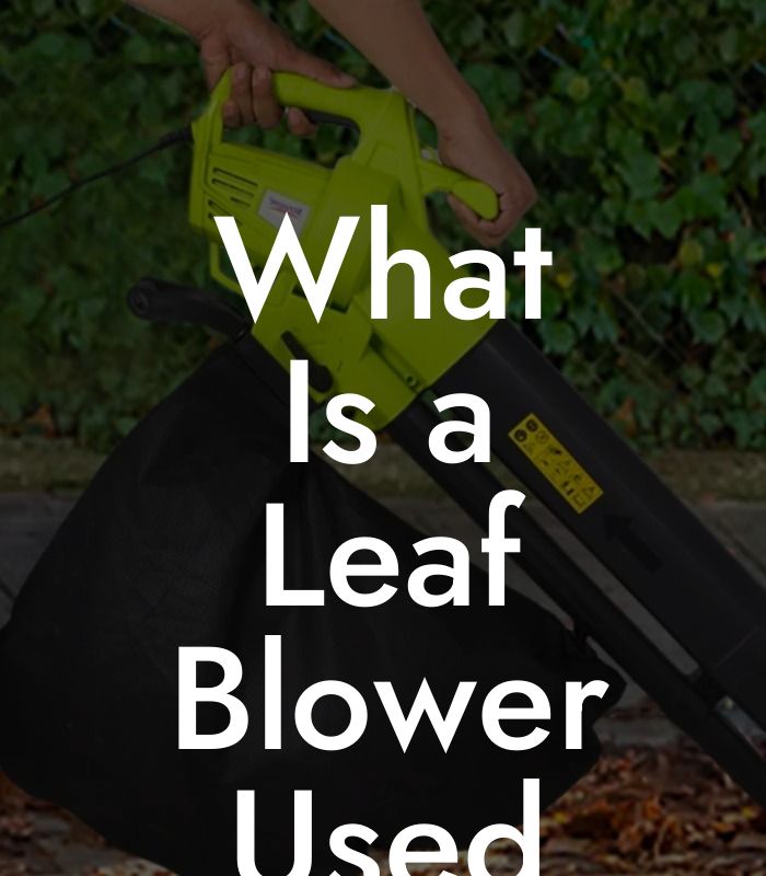 What Is a Leaf Blower Used For