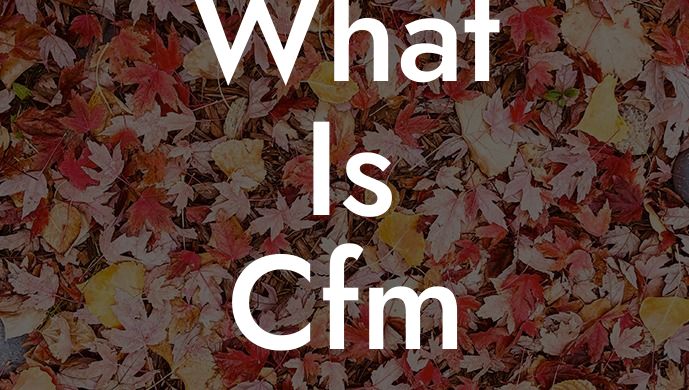 What Is Cfm on a Leaf Blower