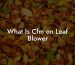 What Is Cfm on Leaf Blower