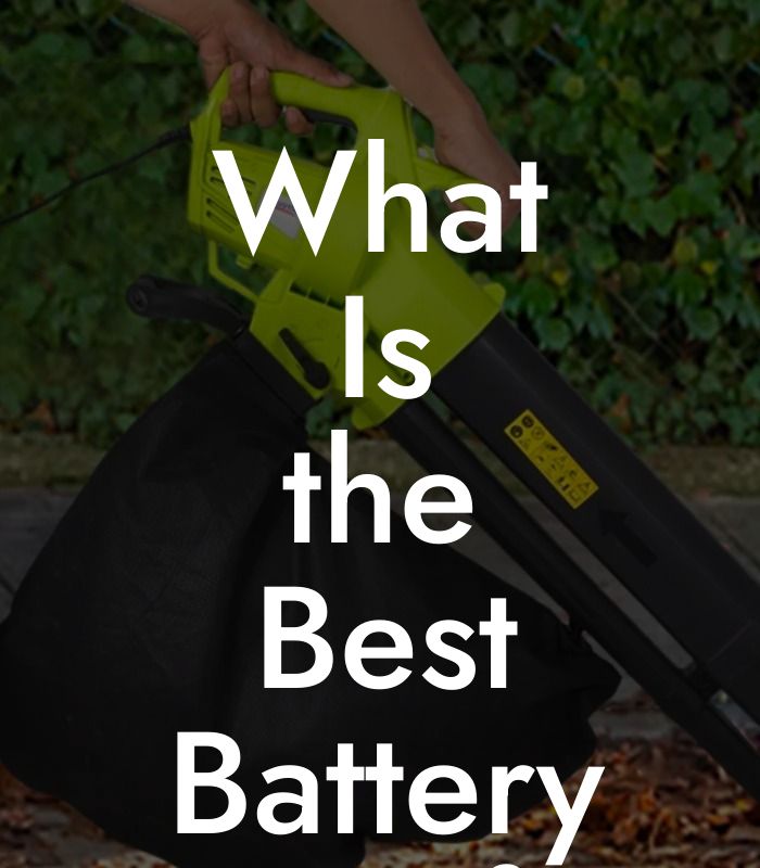 What Is the Best Battery Leaf Blower