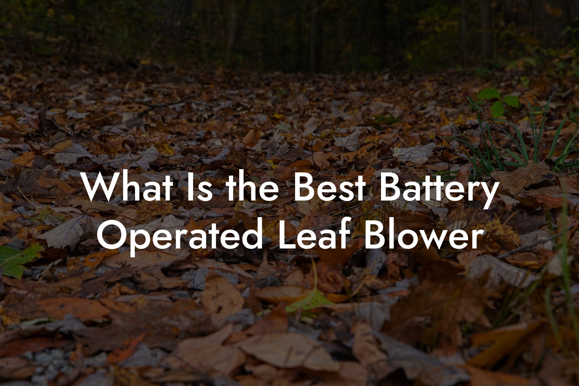 What Is the Best Battery Operated Leaf Blower