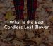 What Is the Best Cordless Leaf Blower