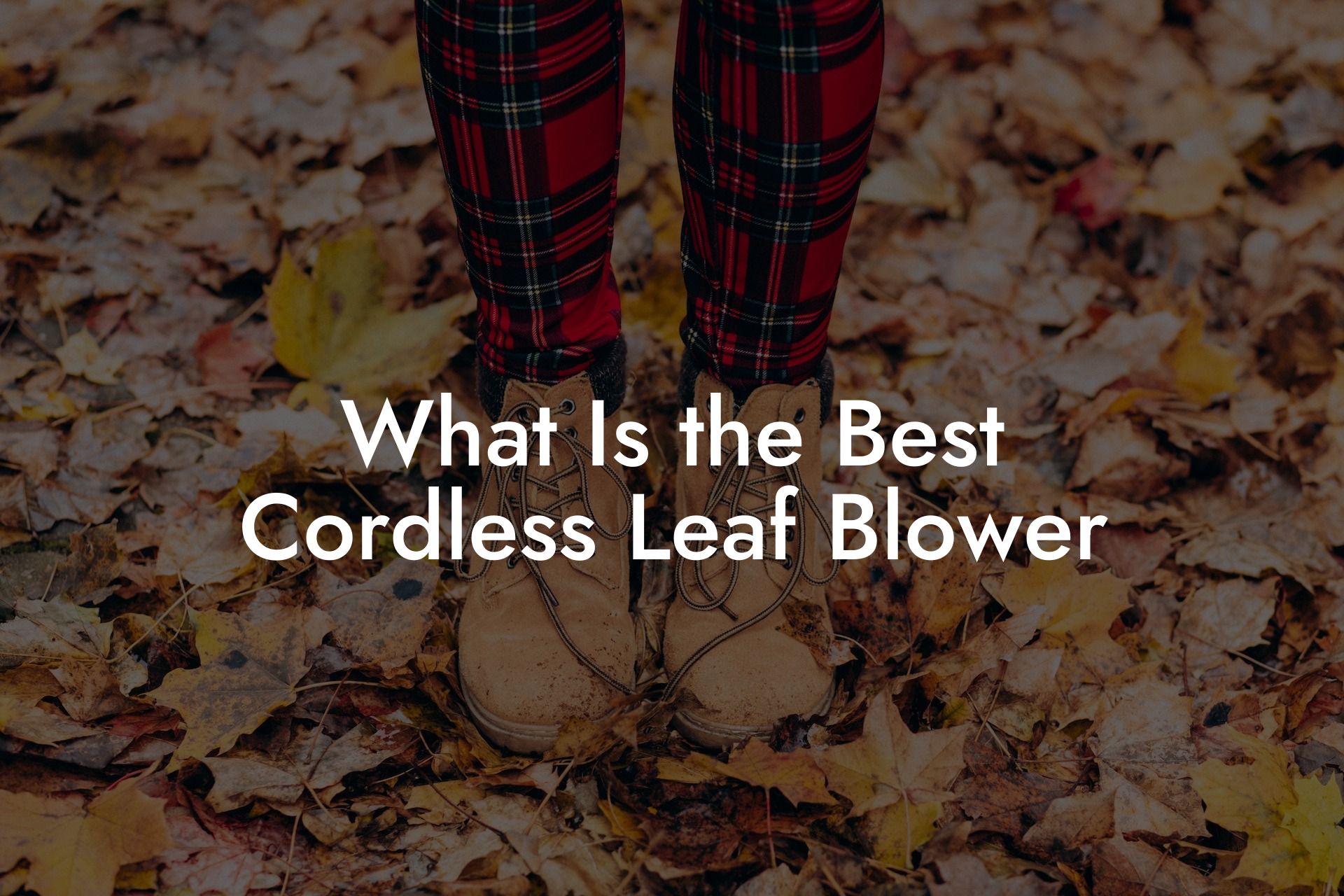 What Is the Best Cordless Leaf Blower