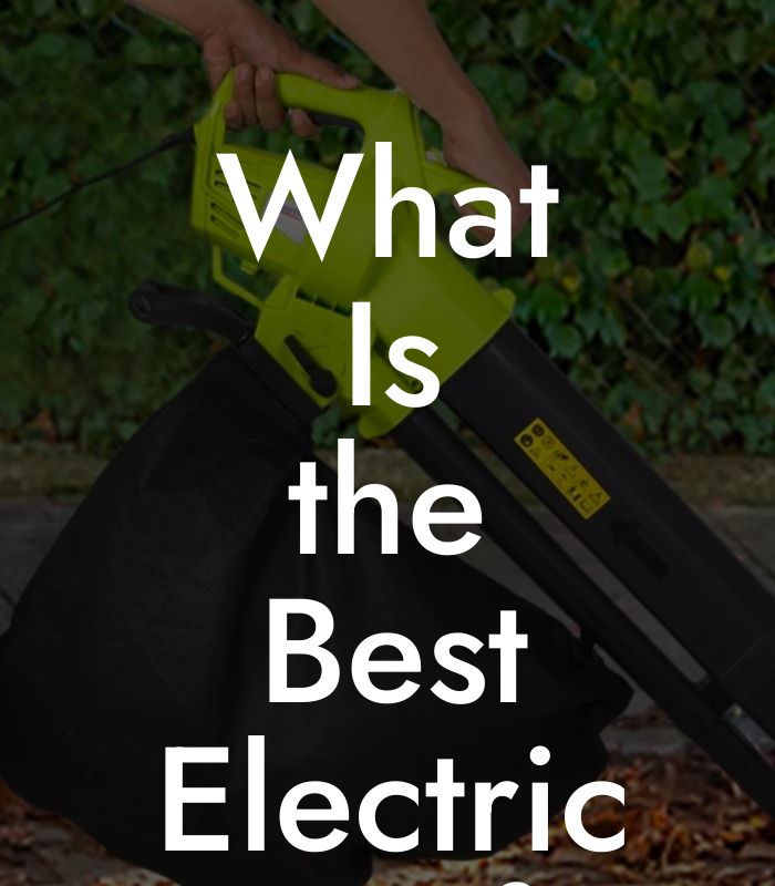 What Is the Best Electric Leaf Blower