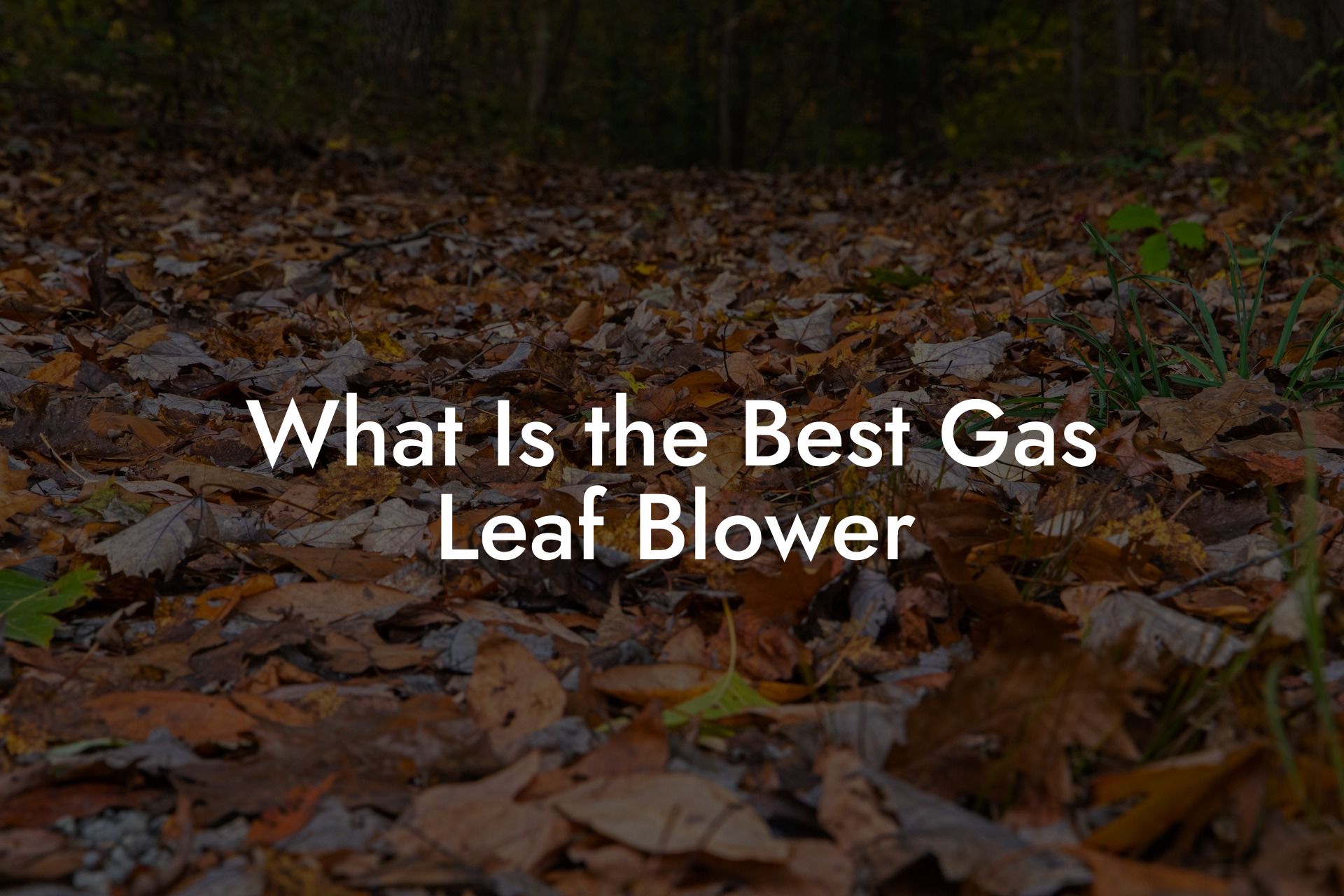 What Is the Best Gas Leaf Blower