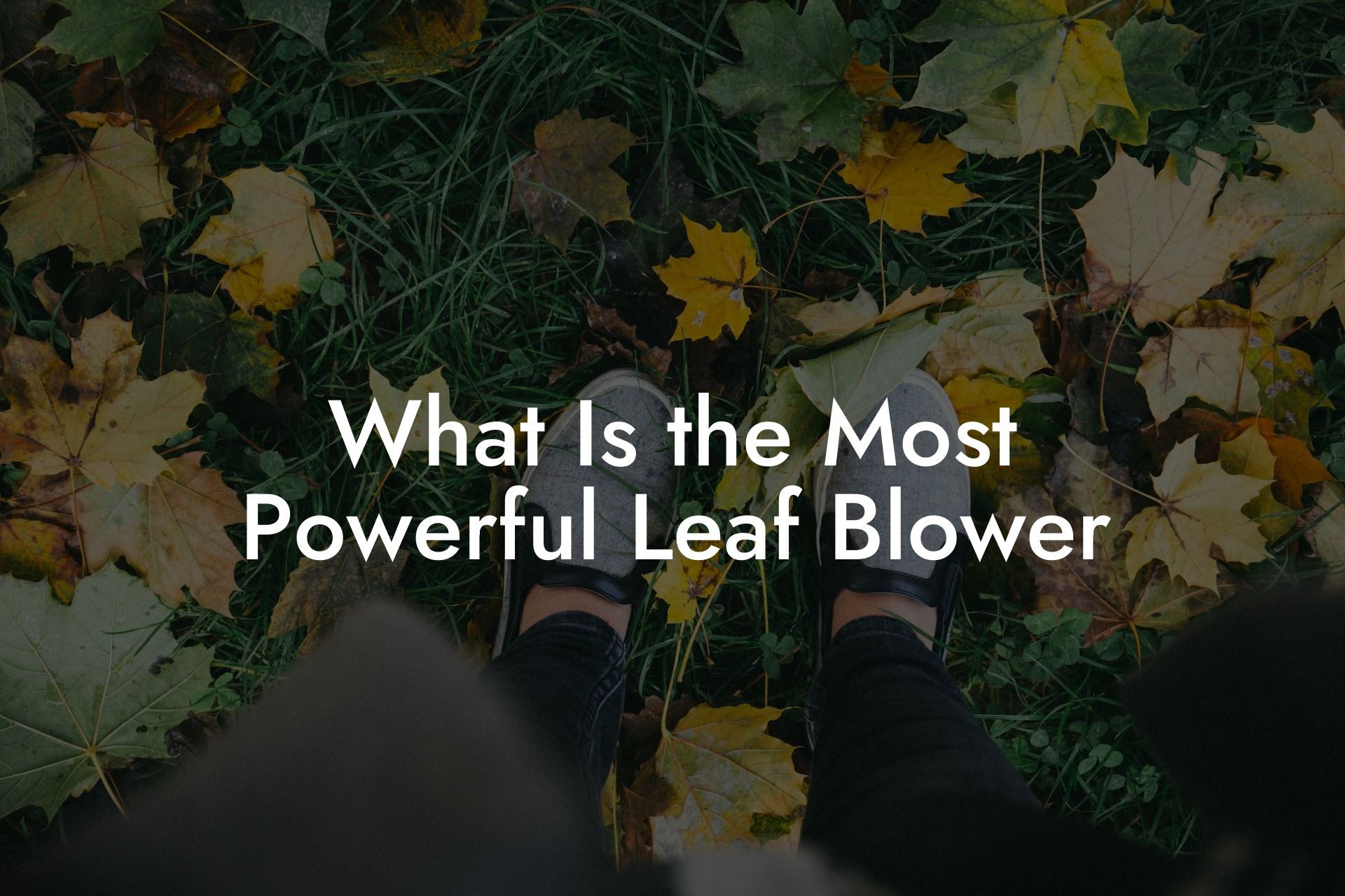 What Is the Most Powerful Leaf Blower