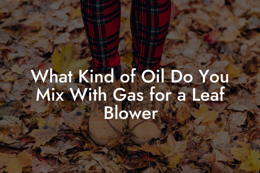 What Kind of Oil Do You Mix With Gas for a Leaf Blower Leaf Blower