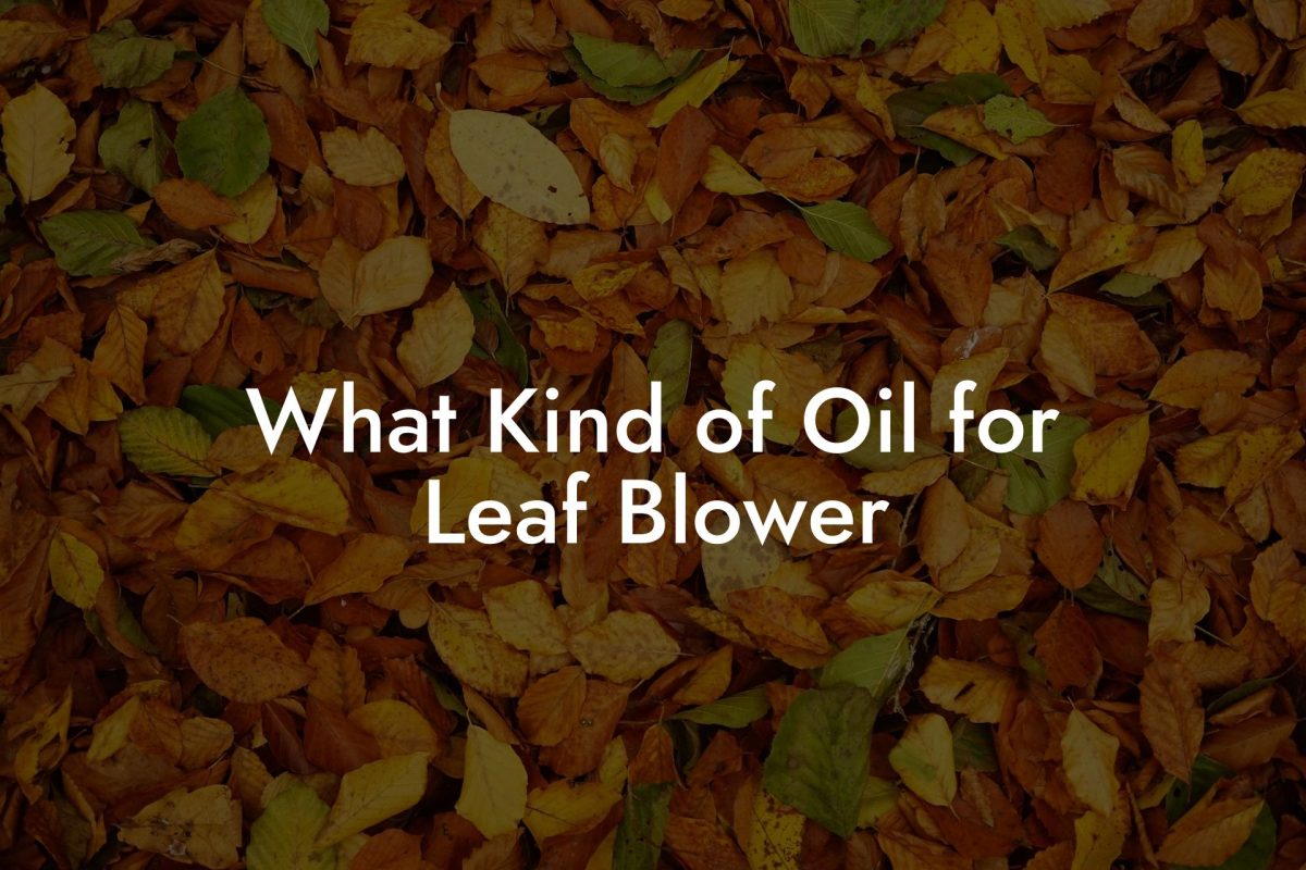 What Kind of Oil for Leaf Blower