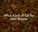 What Kind of Oil for Leaf Blower