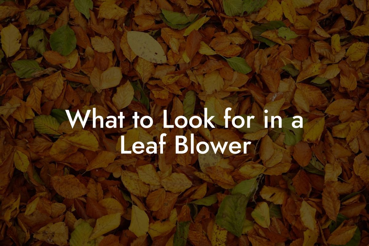 What to Look for in a Leaf Blower