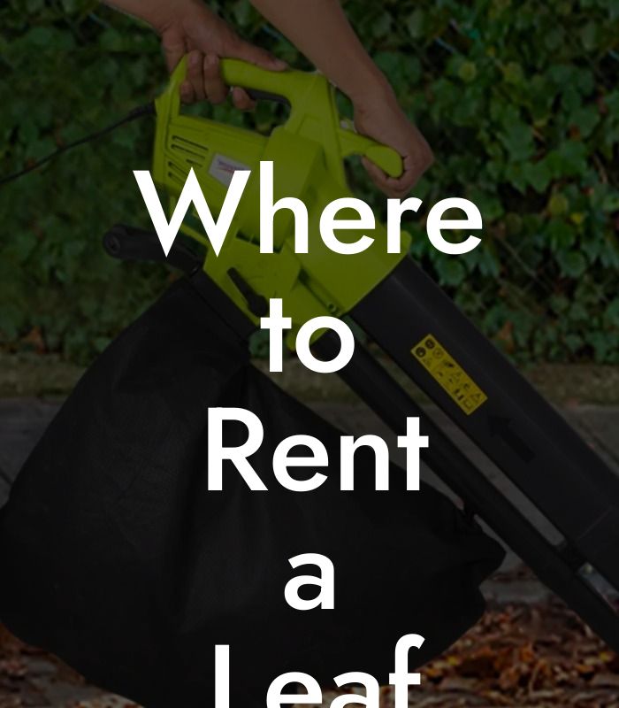 Where to Rent a Leaf Blower