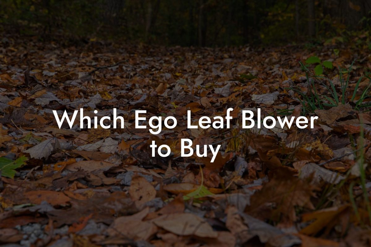 Which Ego Leaf Blower to Buy