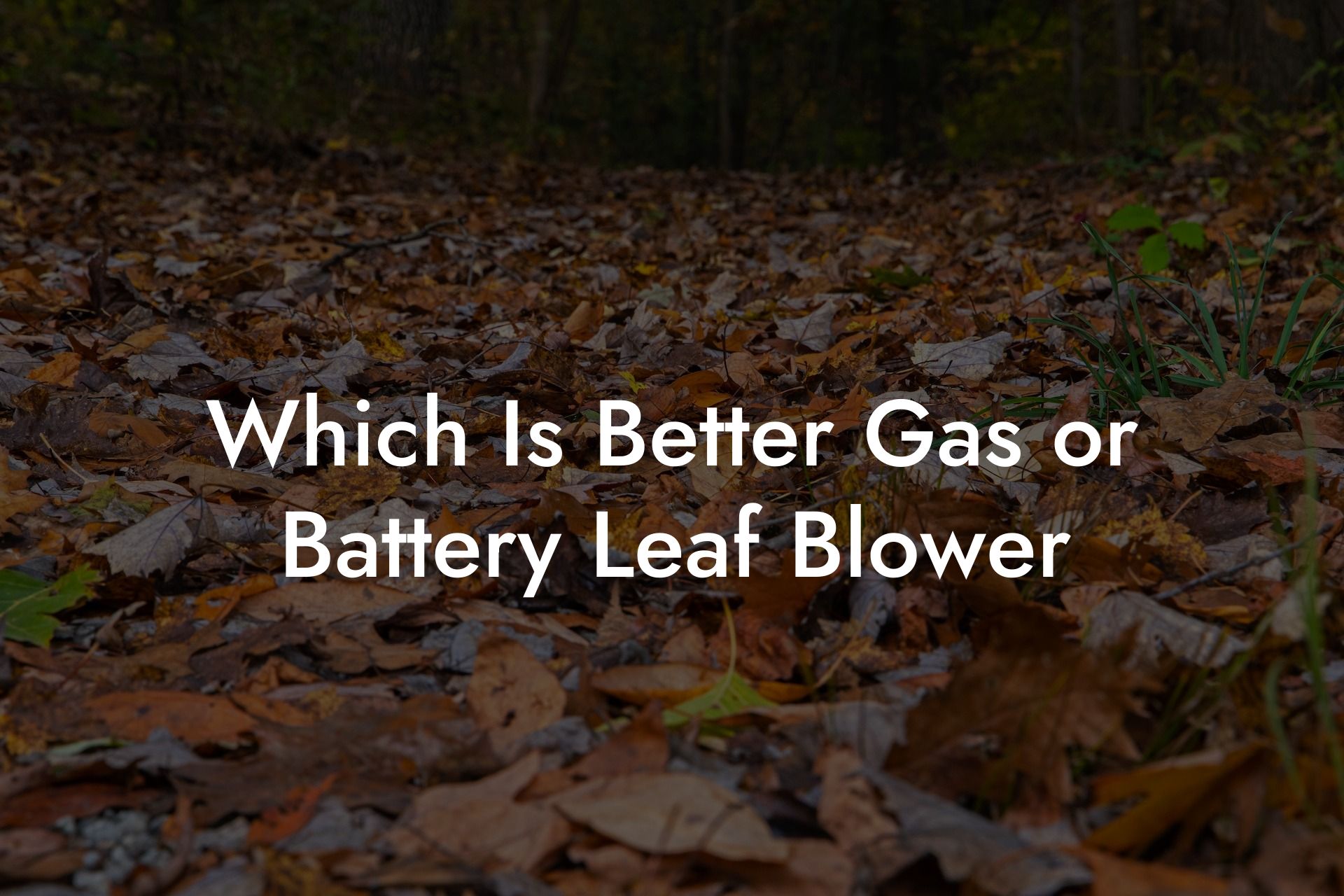 Which Is Better Gas or Battery Leaf Blower