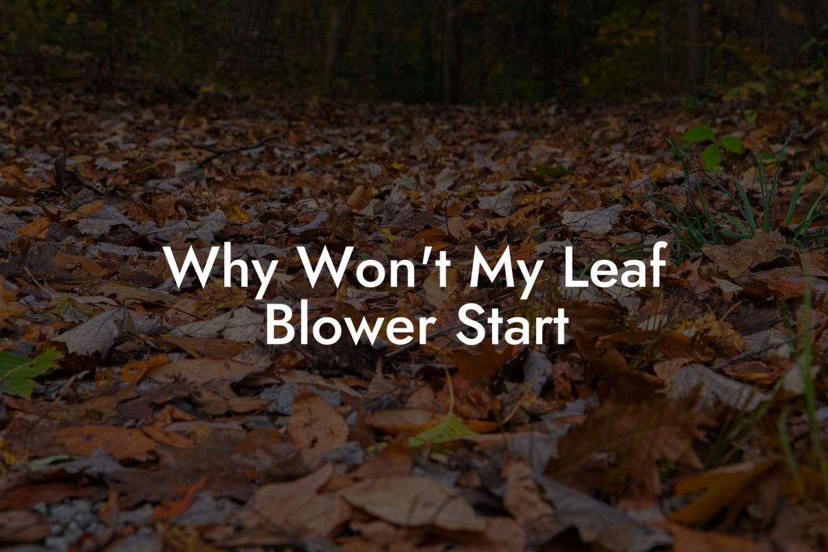 Why Won't My Leaf Blower Start