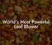 World's Most Powerful Leaf Blower