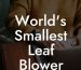 Worlds Smallest Leaf Blower