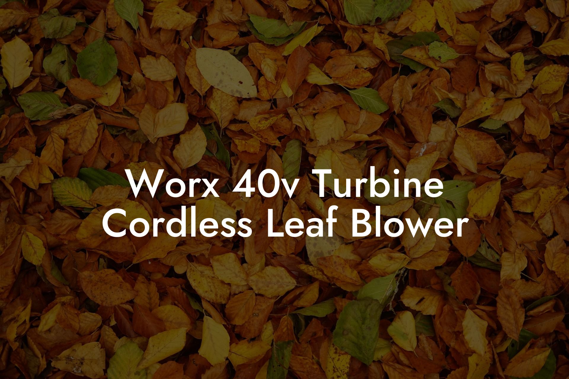 Worx 40v Turbine Cordless Leaf Blower