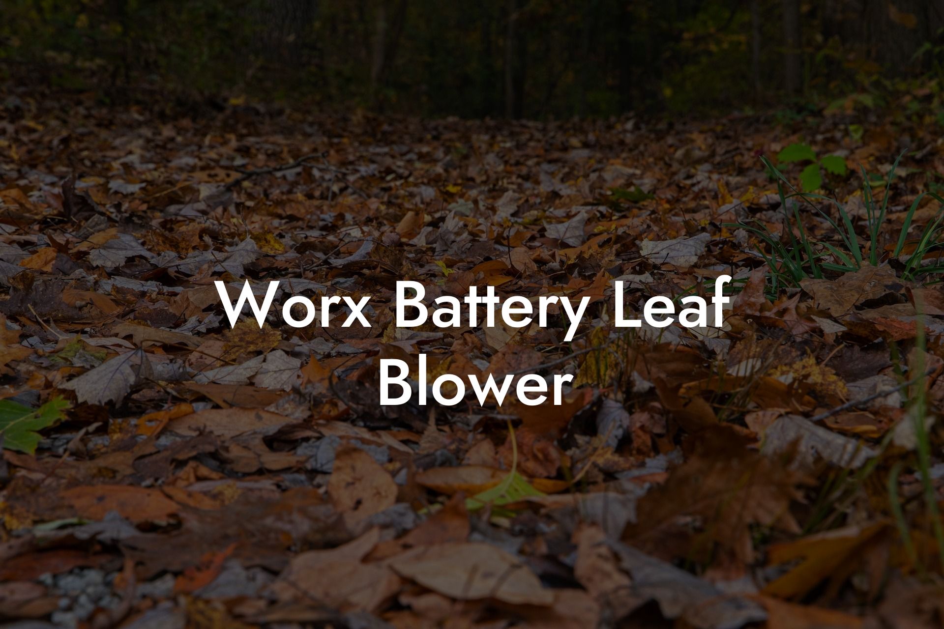 Worx Battery Leaf Blower