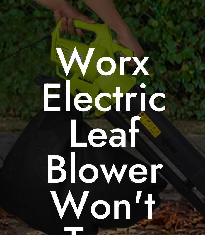 Worx Electric Leaf Blower Won't Turn On